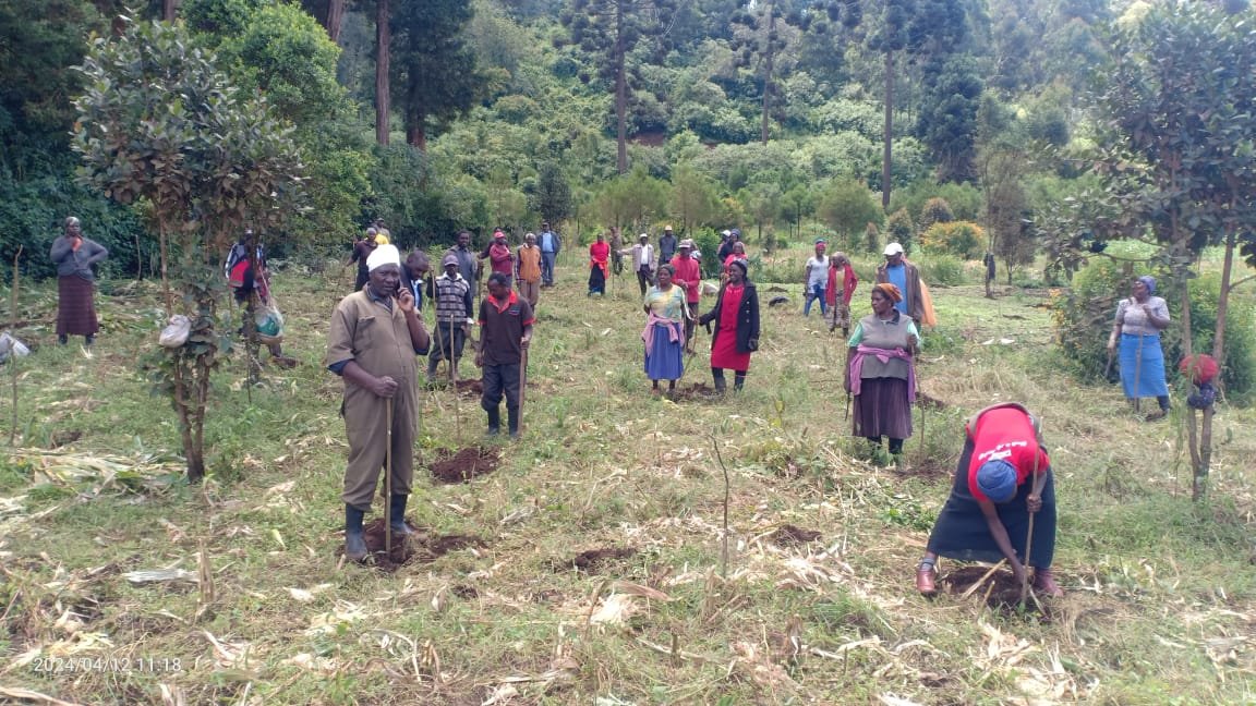 Community members planting trees on a hillside