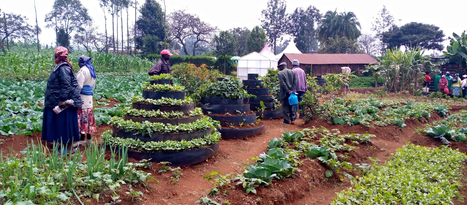 Farmers touring a demonstration plot of tiered vertical gardens and vegetable beds
